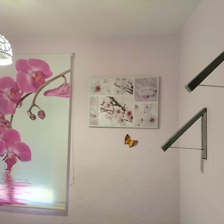 Villa La Casita De Ana. Puerta Valencia. Casco Antiguo Cuenca  Exterior foto
